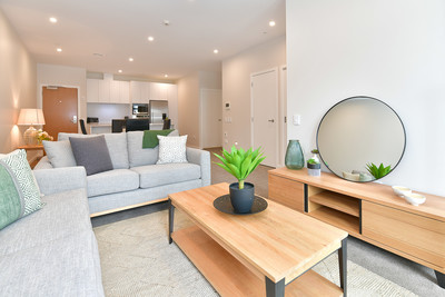 Spacious and Sunny apartment