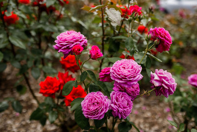 Three-bedroom townhouse